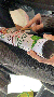 bases:bois:fabriquer-performer2:img_5421.gif