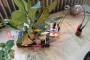 bases:fabnum:workshop:pendule_generatif:photo:dsc00098_grand_.jpg