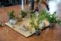 bases:fabnum:workshop:pendule_generatif:photo:dsc00120_grand_.jpg