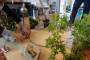 bases:fabnum:workshop:pendule_generatif:photo:dsc00124_grand_.jpg