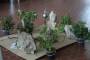 bases:fabnum:workshop:pendule_generatif:photo:img_2588_grand_.jpg