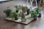 bases:fabnum:workshop:pendule_generatif:photo:img_2591_grand_.jpg