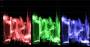 bases:video:montage:parade_rvb.jpg