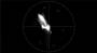 bases:video:montage:vecteurscope.jpg