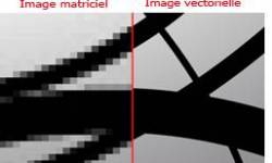 vecteur.jpg