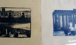 Cyanotype divers