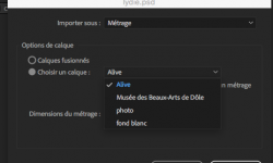 ae-psd-1_calque.png
