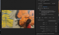capture_d_ecran_2020-10-29_a_14.02.58.png