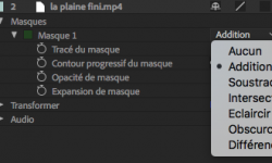 ae-animer_masque.png