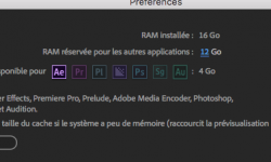ae-ram.png
