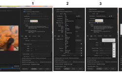 export_premiere.png