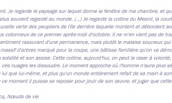 julien_gracq-noeuds_de_vie.png