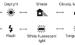 white-balance-settings-display.gif